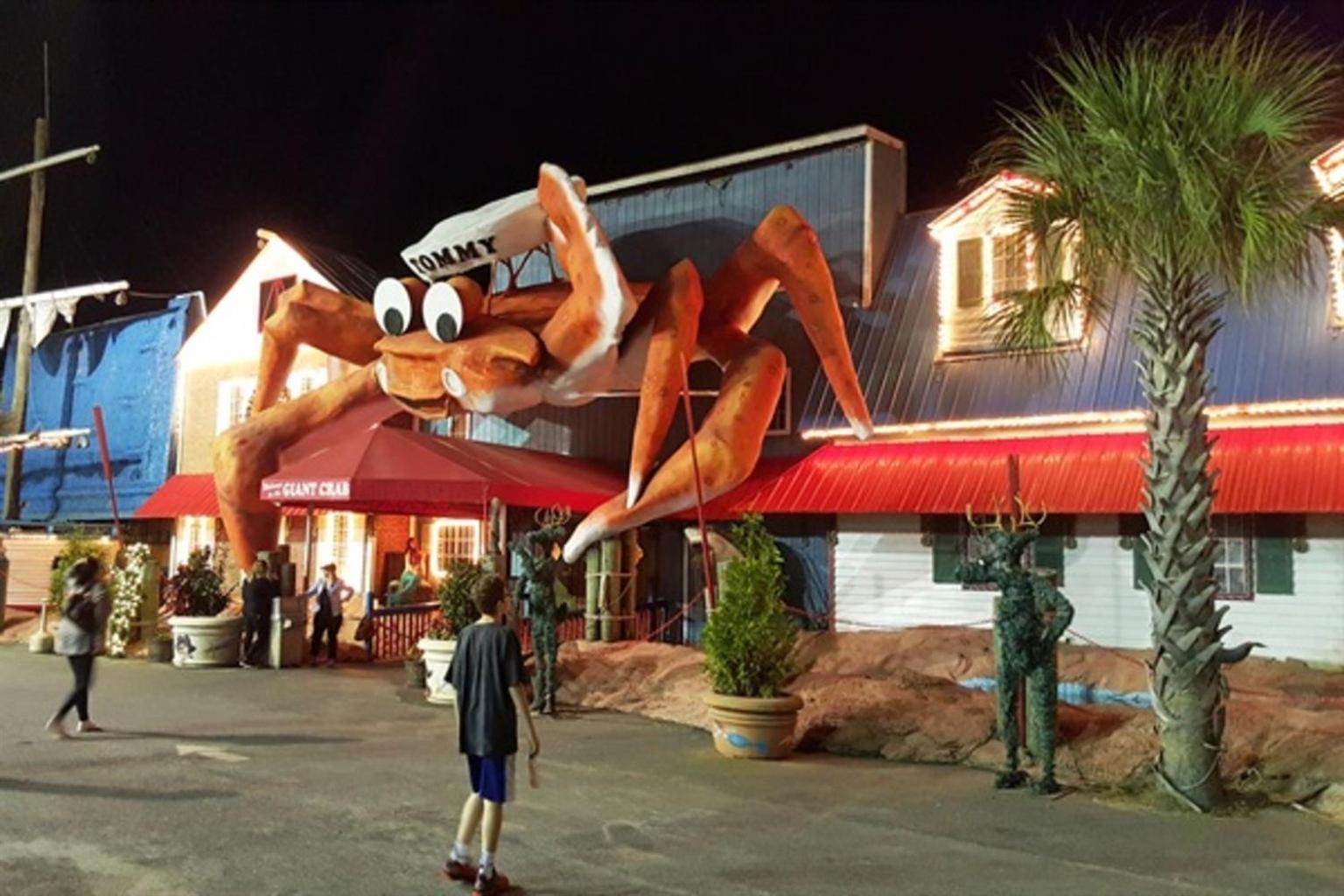 Ocean Annie'S Oceanview Studio,Scenic Views,Pools! Myrtle Beach Luaran gambar